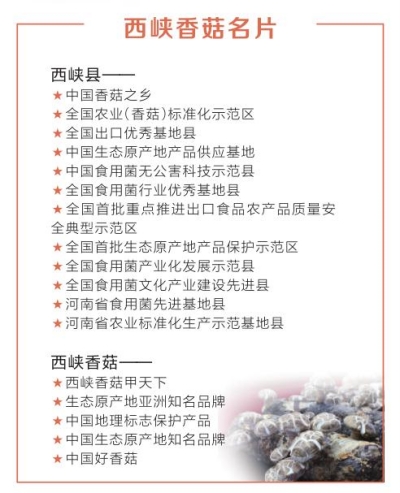 【河南好项目-图片】【河南在线-文字列表】【移动端-文字列表】南阳西峡香菇：世界餐桌上的“中国味道”